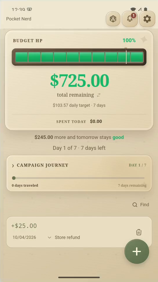 4 · Campaign. Choose Campaign for a character and a fantasy-style budget gauge.